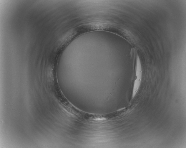 X0000061750258200512161724