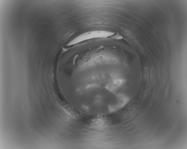 X0000061750259200512161724