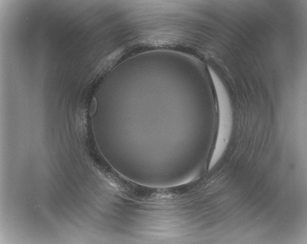 X0000061750260200512161724