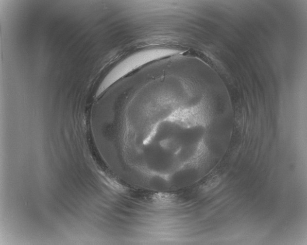 X0000061750261200512161724