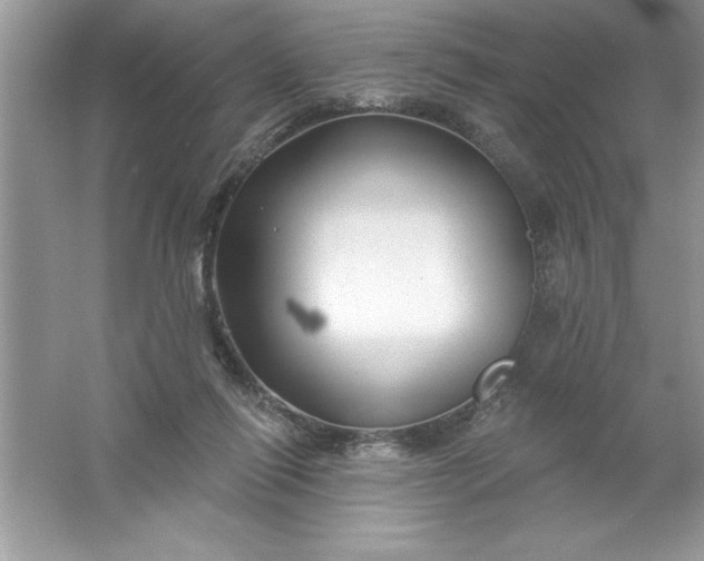 X0000061750262200512161724