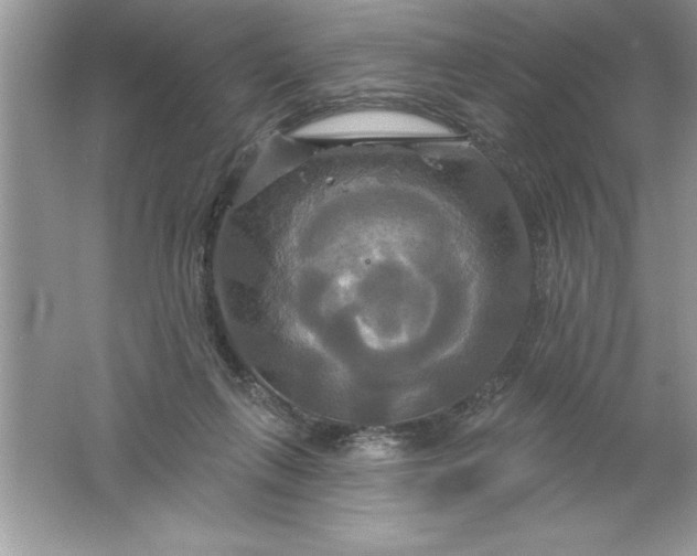 X0000061750263200512161724