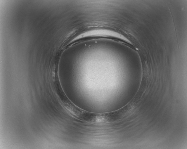 X0000061750264200512161724