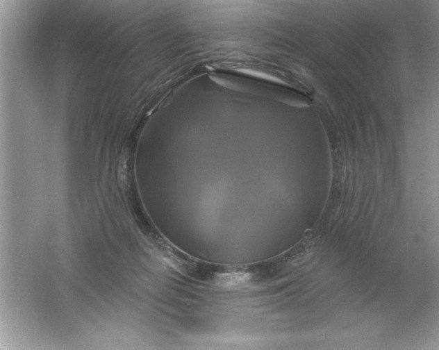 X0000061750266200512161724