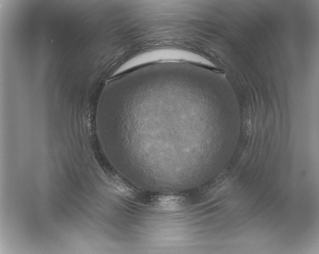 X0000061750268200512161725