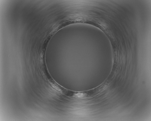 X0000061750269200512161725