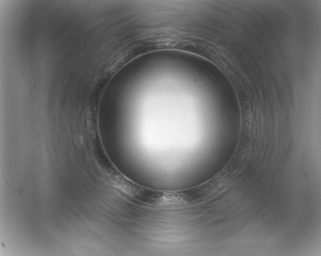 X0000061750270200512161725