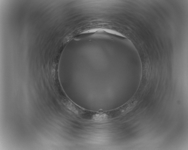 X0000061750271200512161725