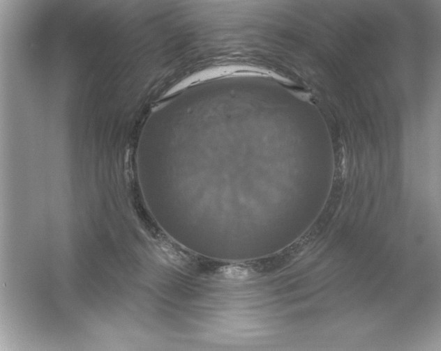 X0000061750272200512161725