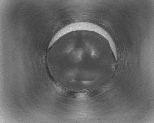 X0000061750273200512161725