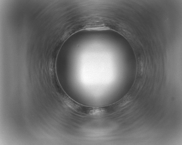 X0000061750274200512161725