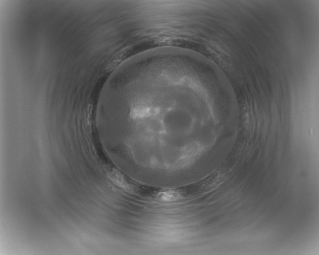 X0000061750275200512161725