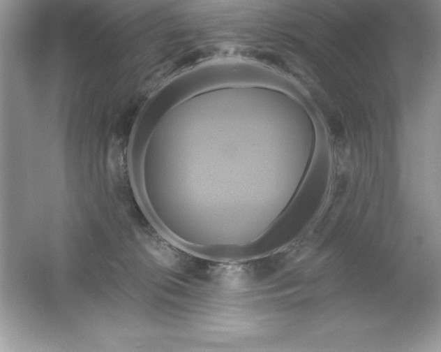 X0000061750276200512161725