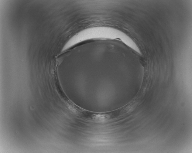 X0000061750277200512161725