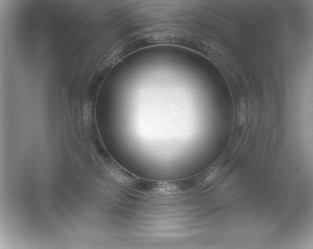 X0000061750278200512161725