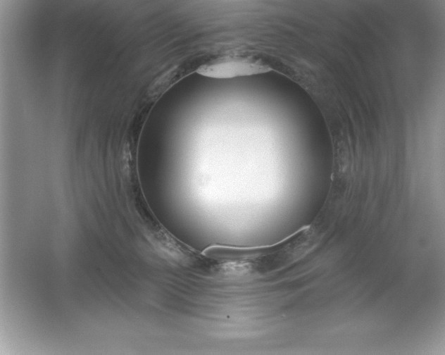 X0000061750279200512161725