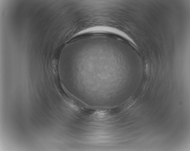 X0000061750280200512161725