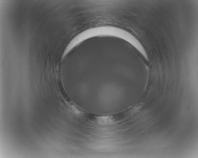 X0000061750281200512161725