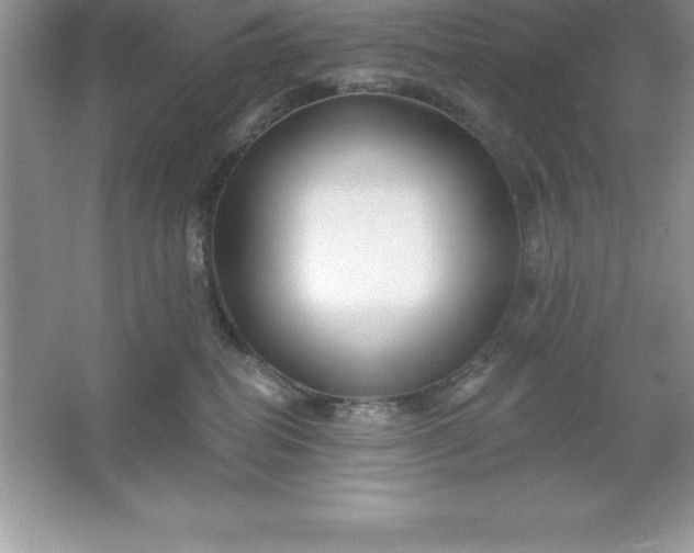 X0000061750282200512161725