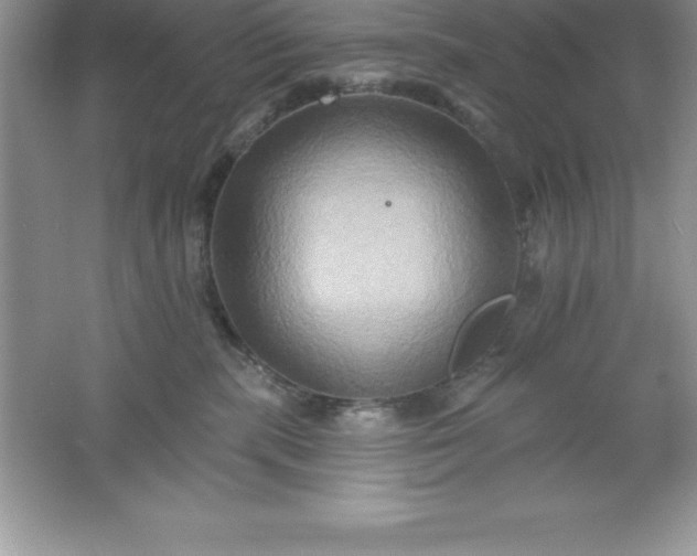 X0000061750283200512161725