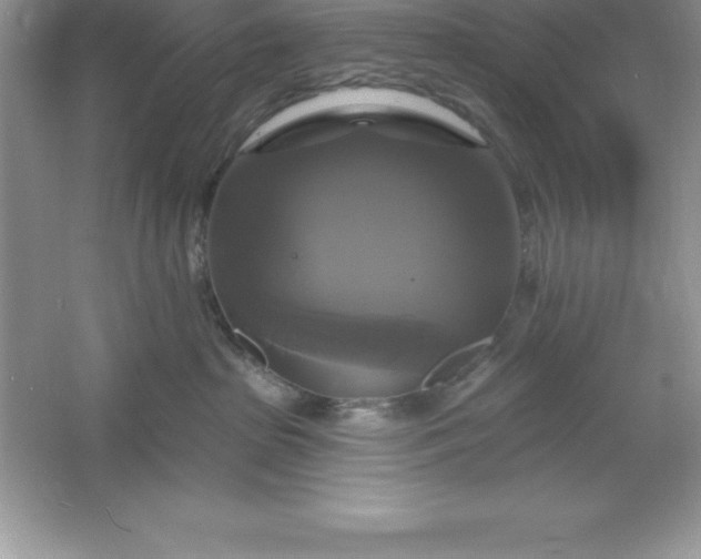 X0000061750285200512161725