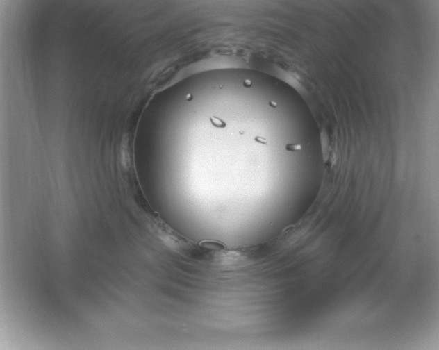 X0000061750287200512161725