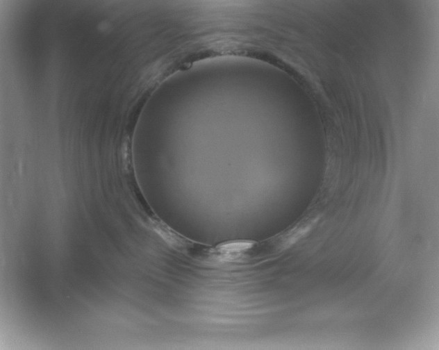 X0000061750288200512161725