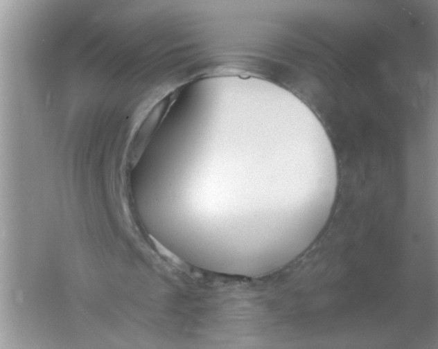 X0000061750289200512161724