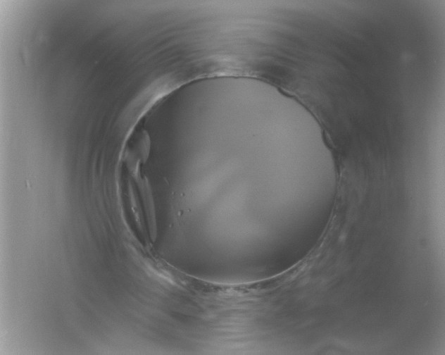 X0000061750290200512161724