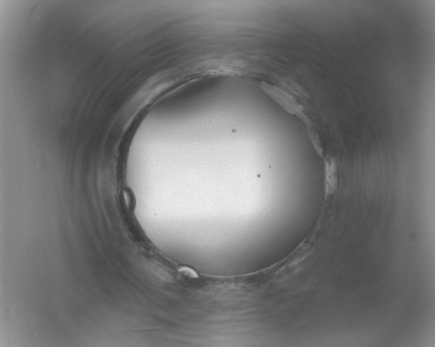 X0000061750291200512161724