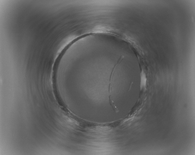 X0000061750292200512161724