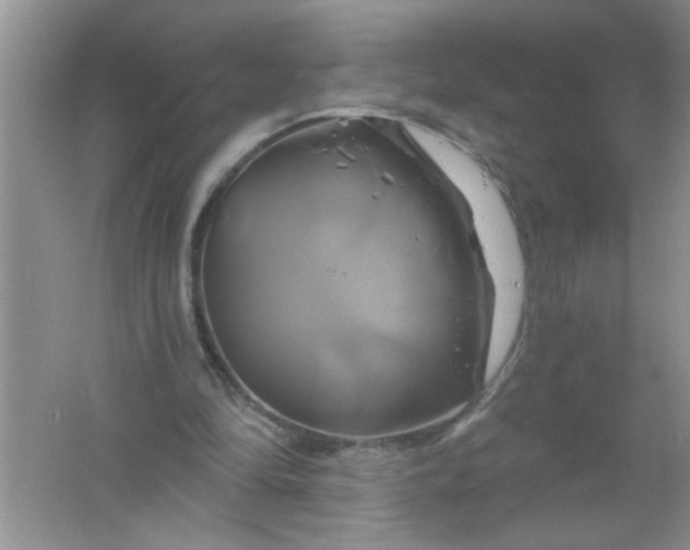 X0000061750294200512161724