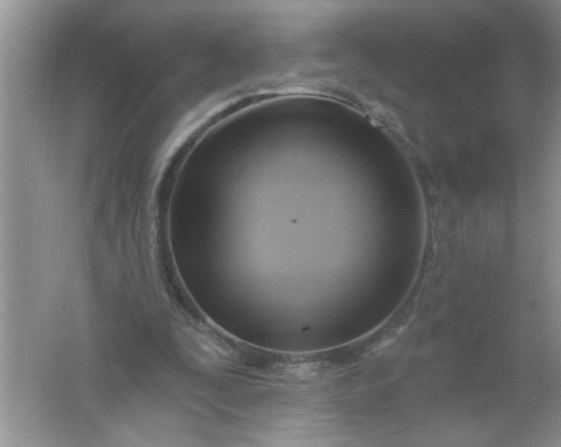 X0000061750295200512161724