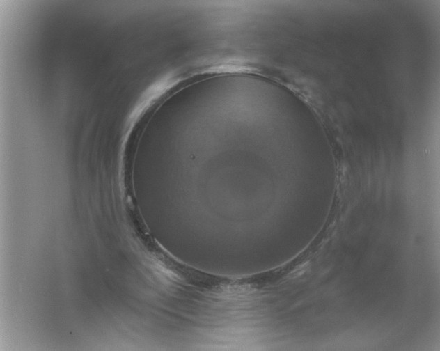 X0000061750296200512161724