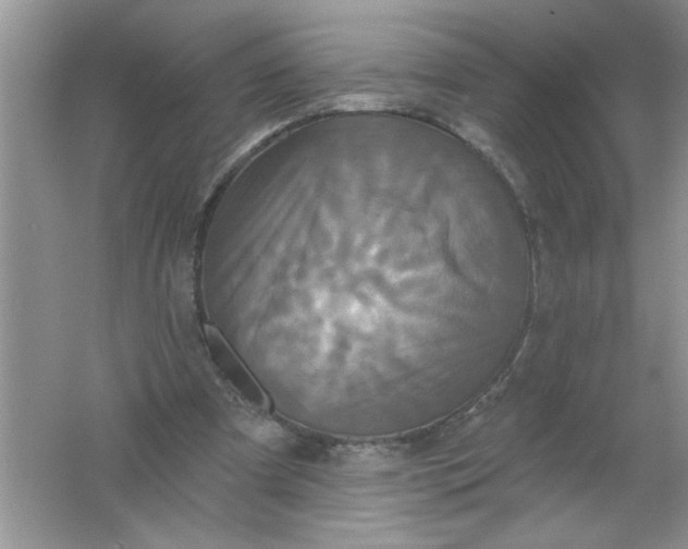 X0000061750297200512161724