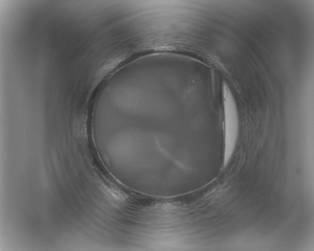 X0000061750299200512161724