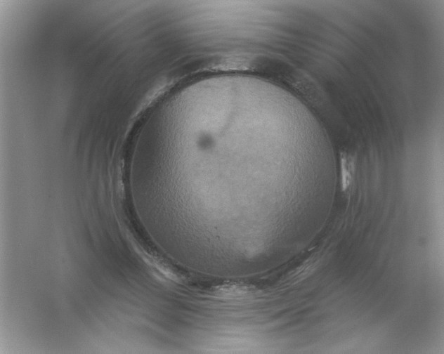 X0000061750300200512161724