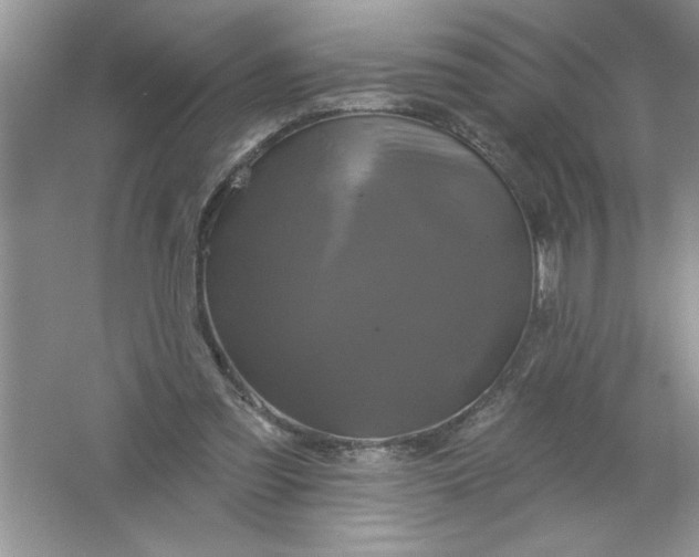 X0000061750301200512161724