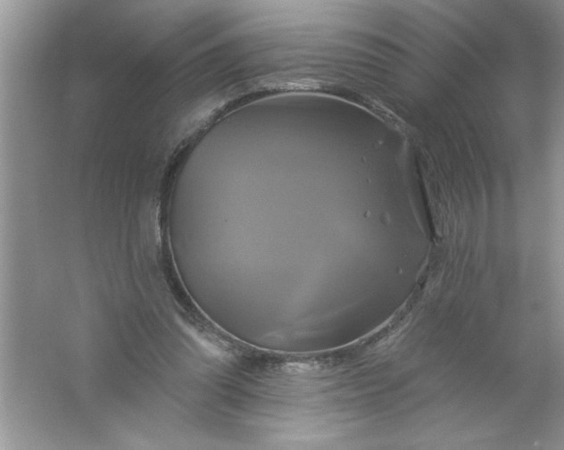 X0000061750302200512161724