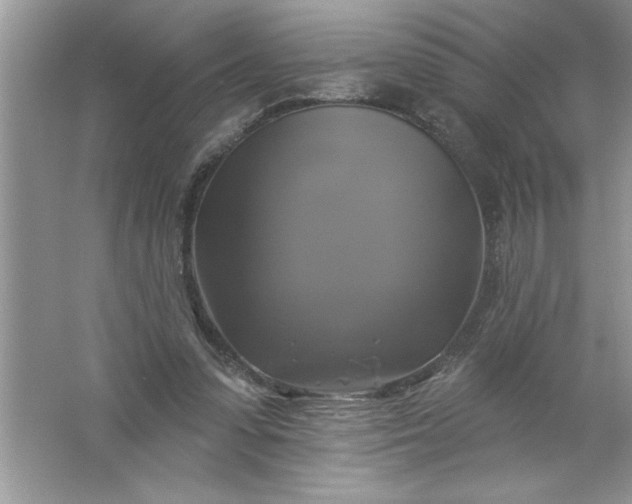 X0000061750303200512161724