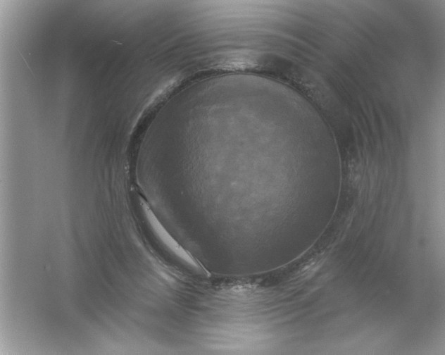 X0000061750304200512161724