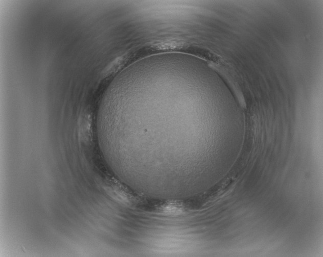 X0000061750308200512161724