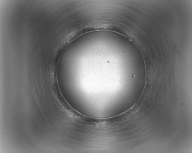 X0000061750309200512161724