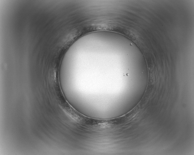 X0000061750310200512161724