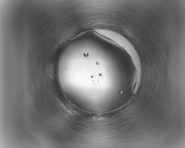 X0000061750311200512161724