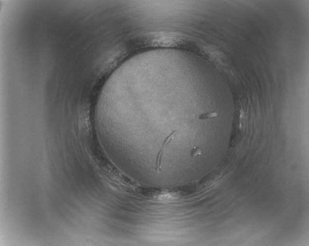 X0000061750312200512161724