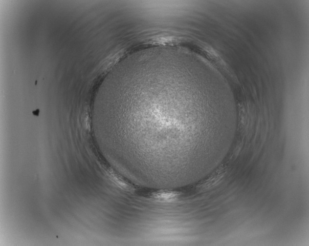 X0000061750313200512161724