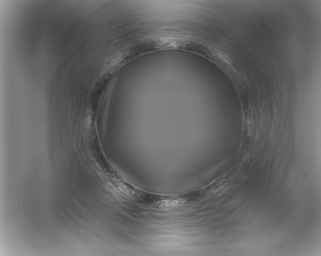 X0000061750314200512161724