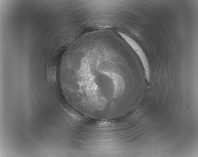 X0000061750315200512161724