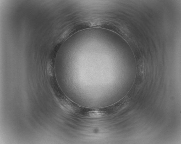 X0000061750316200512161724